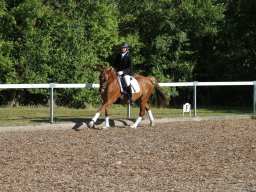 IMG_5090_web